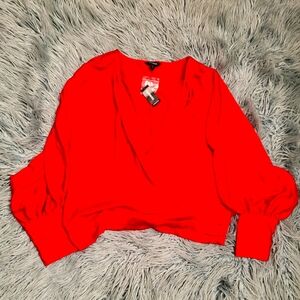 NWT Women's Satin Plunge V Neck Top